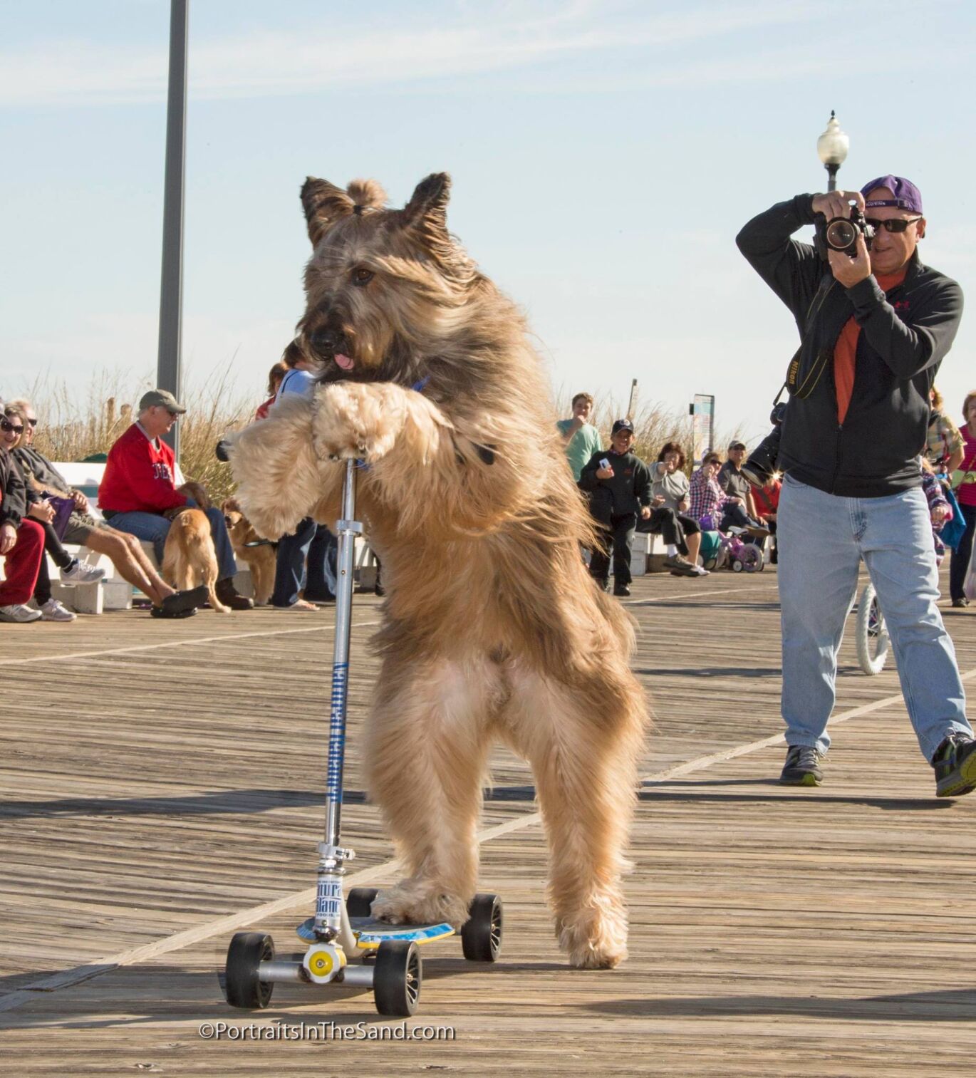 Ron MacArthur Boardwalk